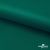Ткань подкладочная Таффета, 19-5420, 53 г/м2, антистатик, шир. 150 см, вечнозеленый - купить в Набережных Челнах. Цена 57.16 руб.