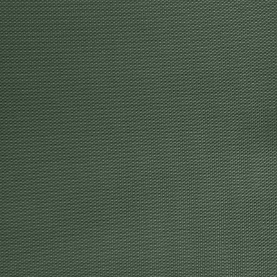 Оксфорд (Oxford) 240D 19-5917, PU/WR, 115 гр/м2, шир.150см, цвет т.зелёный - купить в Набережных Челнах. Цена 152.54 руб.