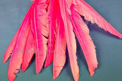 Декоративный Пучок из перьев, перо 25см/розовый - купить в Набережных Челнах. Цена: 14.40 руб.