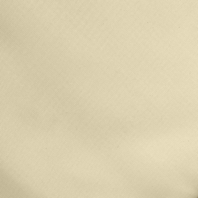 Ткань подкладочная Таффета 14-1014, антист., 53 гр/м2, шир.150см, цвет бежевый - купить в Набережных Челнах. Цена 62.37 руб.