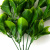Трава искусственная -1, шт (эвкалипт лист 32 см/8 см)				 - купить в Набережных Челнах. Цена: 169.93 руб.