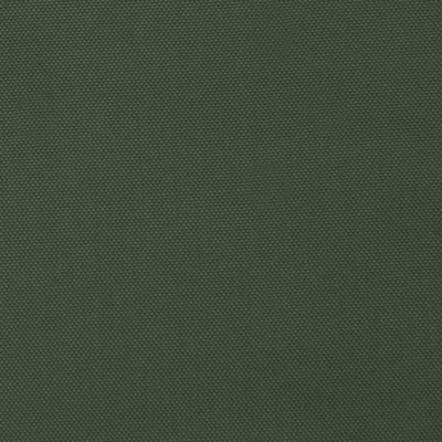 Ткань подкладочная "BEE" 19-0419, 54 гр/м2, шир.150см, цвет болотный - купить в Набережных Челнах. Цена 64.20 руб.