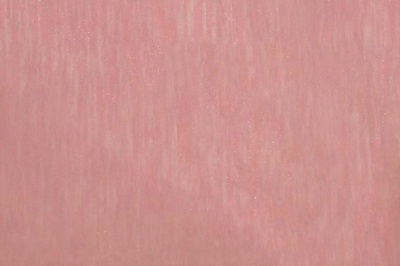 Органза однотонная "Амелия" С19 (Розовый) 280 см - купить в Набережных Челнах. Цена 303.09 руб.