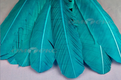 Декоративный Пучок из перьев, перо 24см/голубой - купить в Набережных Челнах. Цена: 12.19 руб.