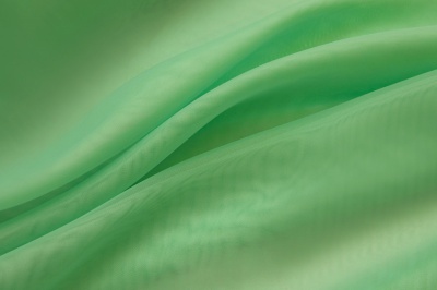 Портьерный капрон 15-6123, 47 гр/м2, шир.300см, цвет св.зелёный - купить в Набережных Челнах. Цена 137.27 руб.