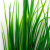 Трава искусственная -2, шт (осока 41см/8 см)				 - купить в Набережных Челнах. Цена: 104.57 руб.