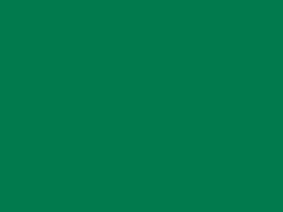 85 см № 258 яр. зеленый спираль (G) сорт-2 - купить в Набережных Челнах. Цена: 16.97 руб.