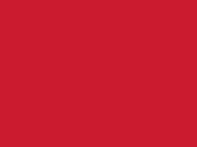 Сетка подкладочная красный, 60г/м2 (10 м/кг) - купить в Набережных Челнах. Цена 885.73 руб.