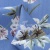Плательная ткань "Фламенко" 12.1, 80 гр/м2, шир.150 см, принт растительный - купить в Набережных Челнах. Цена 243.96 руб.