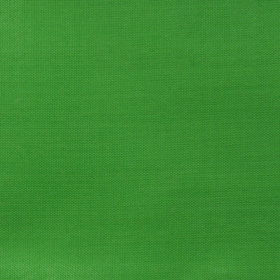 Ткань подкладочная Таффета 17-6153, 48 гр/м2, шир.150см, цвет трава - купить в Набережных Челнах. Цена 54.64 руб.