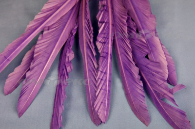 Декоративный Пучок из перьев, перо 25см/фиолетовый - купить в Набережных Челнах. Цена: 12.19 руб.