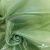 Ткань органза, 100% полиэстр, 28г/м2, шир. 150 см, цв. #27 зеленый - купить в Набережных Челнах. Цена 86.24 руб.