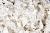 Тесьма плетеная "Рюш" с жемугом №2 (уп.13 м), цв.-молочный  - купить в Набережных Челнах. Цена: 46.82 руб.