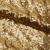 Сетка с пайетками №3, 188 гр/м2, шир.140см, цвет золотой - купить в Набережных Челнах. Цена 454.12 руб.