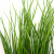 Трава искусственная -4, шт  (осока 50 см/8 см  7 листов)				 - купить в Набережных Челнах. Цена: 130.73 руб.