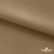 Ткань подкладочная Таффета 17-1327, антист., 54 гр/м2, шир.150см, цвет св.коричневый - купить в Набережных Челнах. Цена 65.53 руб.