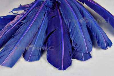 Декоративный Пучок из перьев, перо 23см/синий - купить в Набережных Челнах. Цена: 12.34 руб.